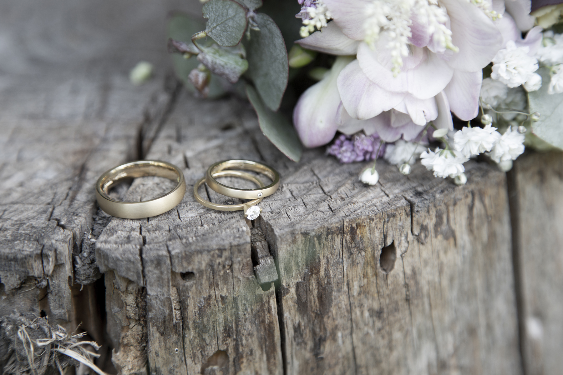 ganz in weiss Das PortraitHaus - Désirée Rodrigo Fuentes